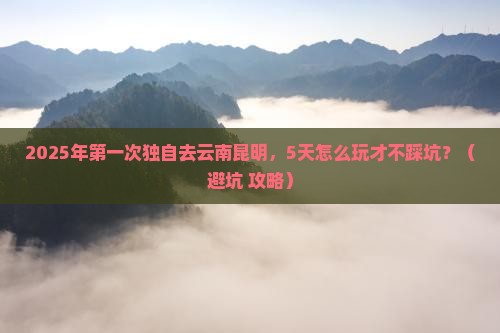 泰安到云南昆明个人游