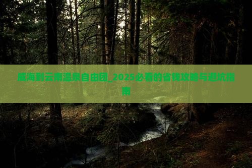 威海到云南温泉自由团