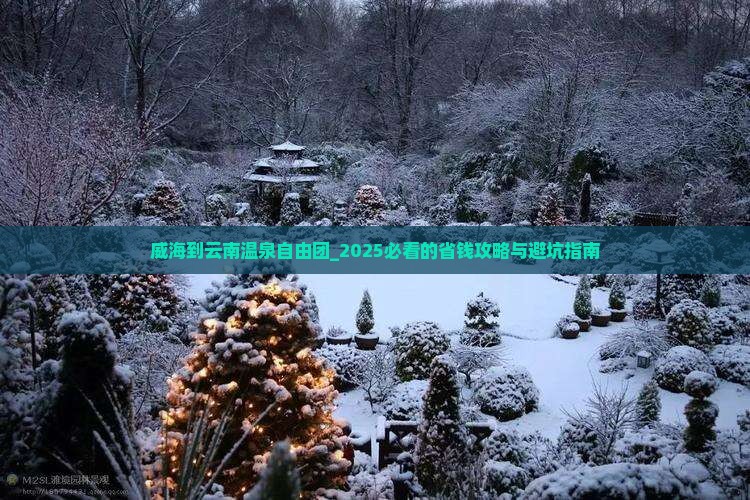 威海到云南温泉自由团