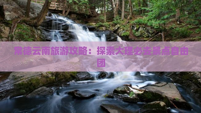 常德去云南大理自由团