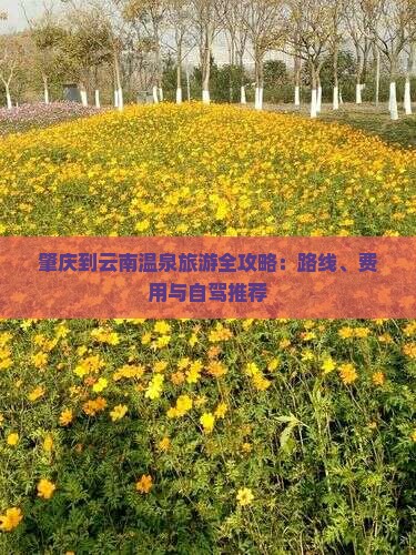 肇庆到云南温泉旅游全攻略：路线、费用与自驾推荐