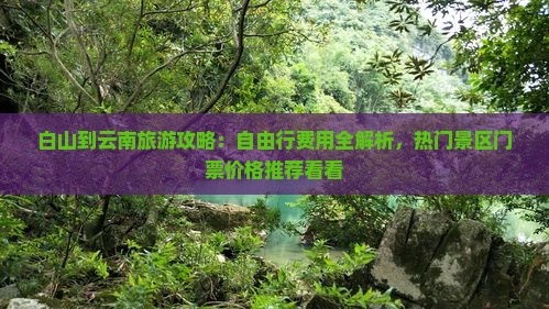 白山到云南旅游攻略：自由行费用全解析，热门景区门票价格推荐看看