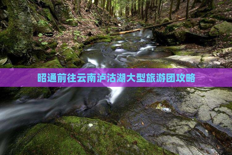 昭通前往云南泸沽湖大型旅游团攻略