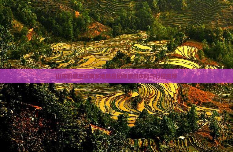 山东聊城至云南多地精品团体旅游攻略与行程推荐