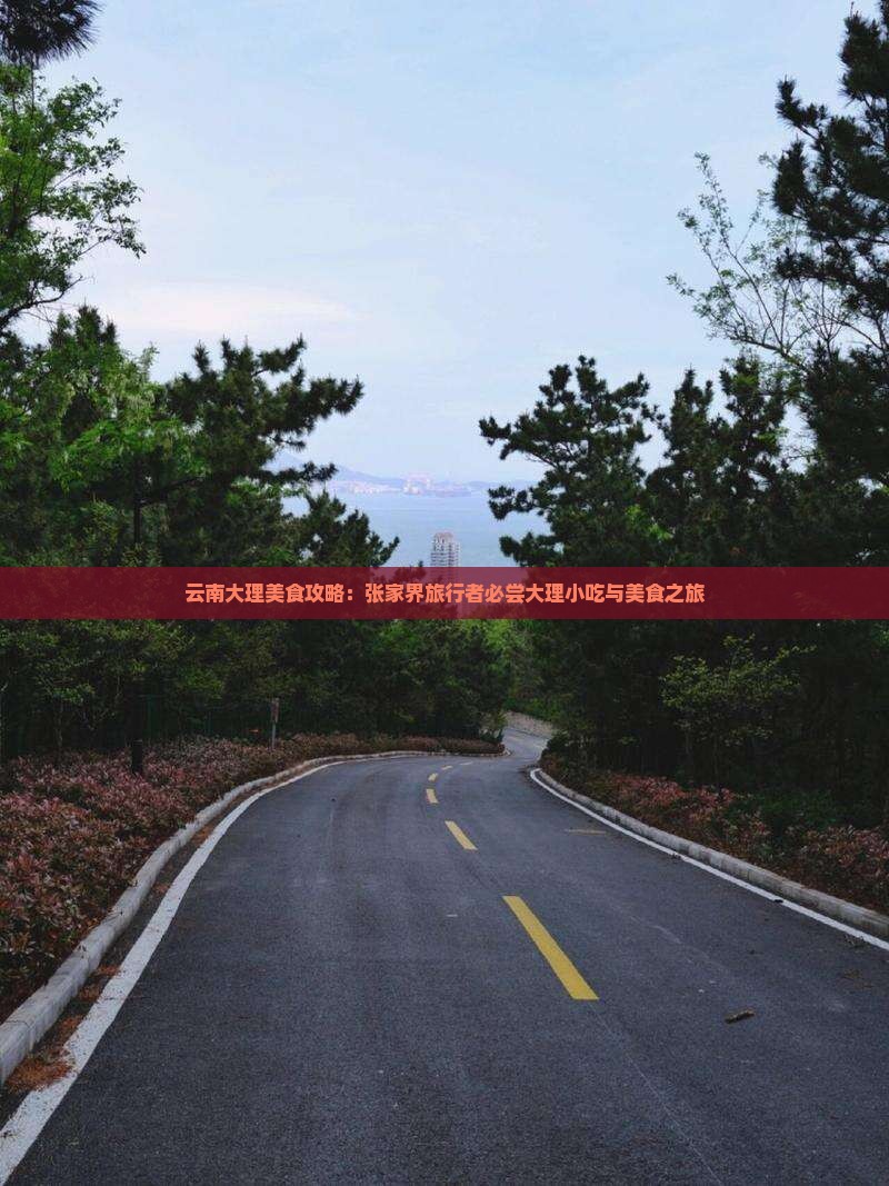 云南大理美食攻略：张家界旅行者必尝大理小吃与美食之旅