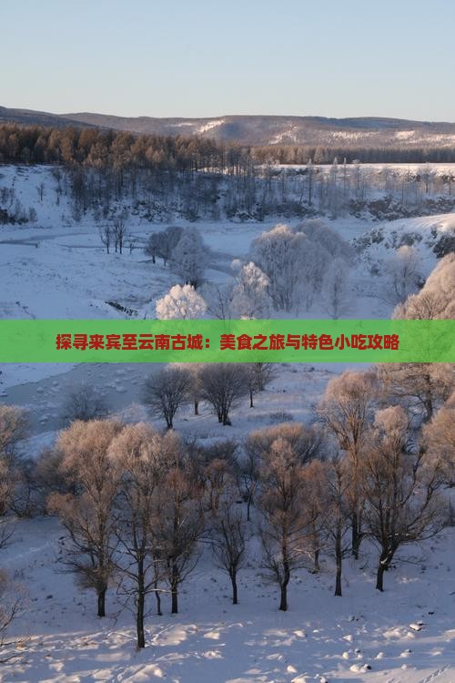 探寻来宾至云南古城：美食之旅与特色小吃攻略