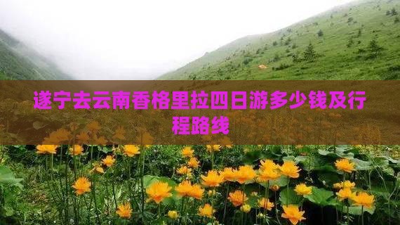 遂宁去云南香格里拉四日游多少钱及行程路线