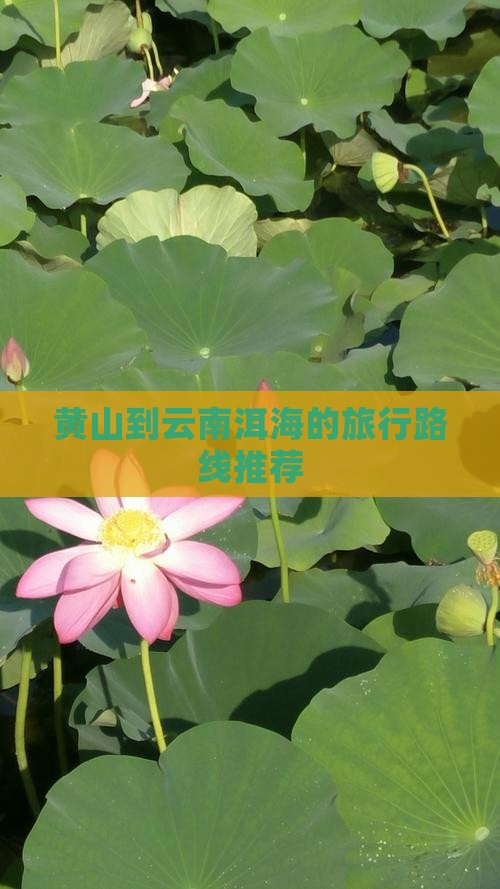 黄山到云南洱海的旅行路线推荐