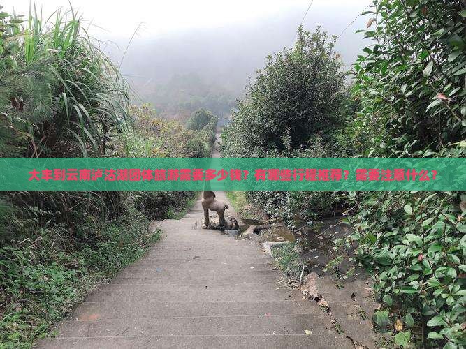 大丰到云南泸沽湖团体旅游需要多少钱？有哪些行程推荐？需要注意什么？