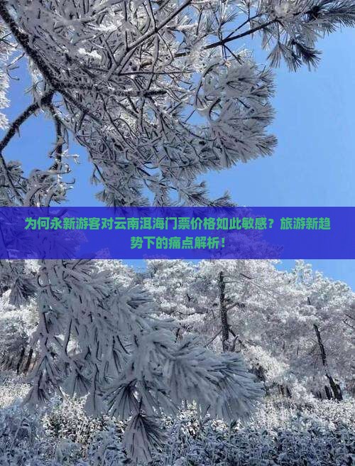 为何永新游客对云南洱海门票价格如此敏感？旅游新趋势下的痛点解析！