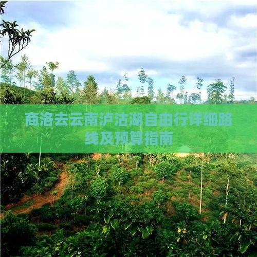 商洛去云南泸沽湖自由行详细路线及预算指南