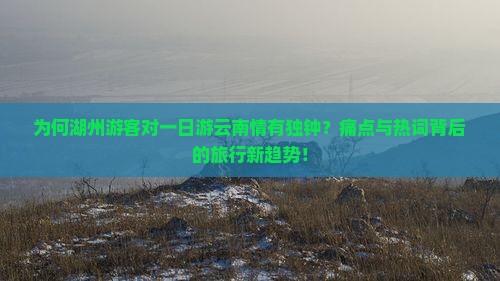 为何湖州游客对一日游云南情有独钟？痛点与热词背后的旅行新趋势！