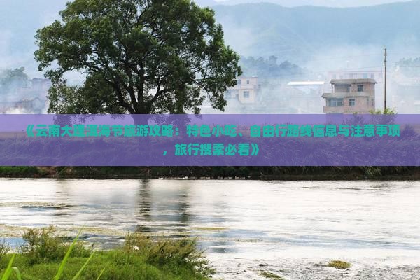 《云南大理洱海节旅游攻略：特色小吃、自由行路线信息与注意事项，旅行搜索必看》