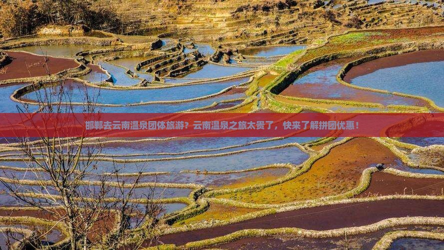 邯郸去云南温泉团体旅游？云南温泉之旅太贵了，快来了解拼团优惠！
