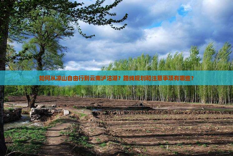 如何从凉山自由行到云南泸沽湖？路线规划和注意事项有哪些？