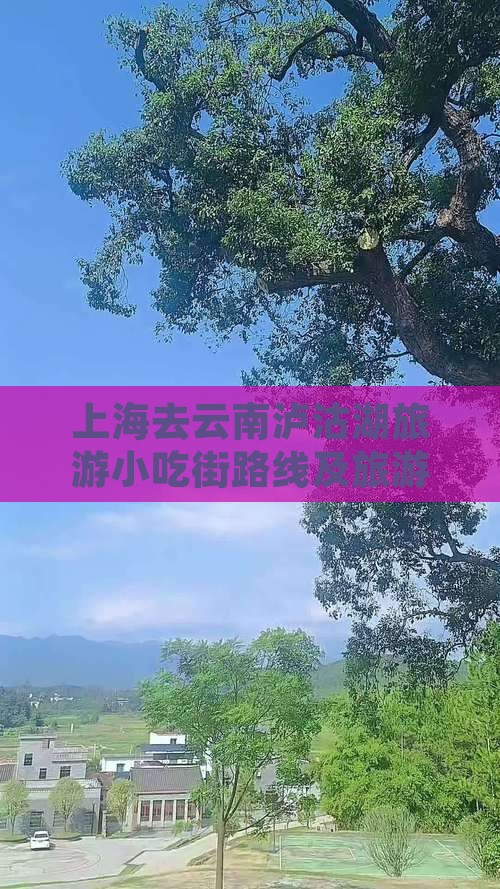 上海去云南泸沽湖旅游小吃街路线及旅游攻略