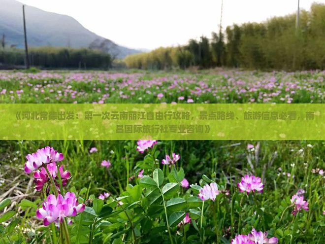 《河北常德出发：第一次云南丽江自由行攻略，景点路线、旅游信息必看，南昌国际旅行社专业咨询》