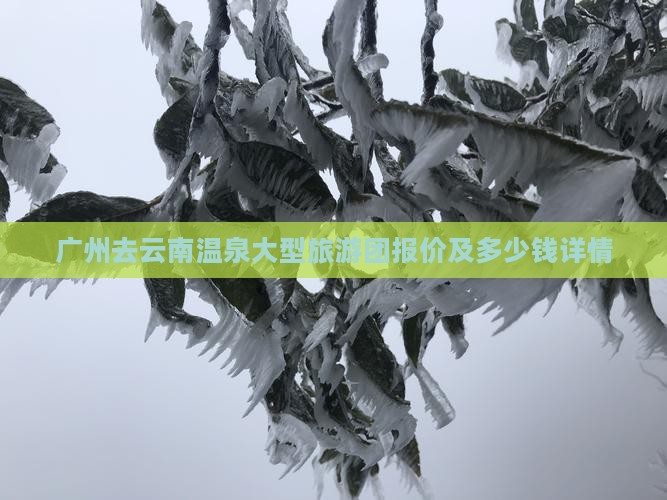 广州去云南温泉大型旅游团报价及多少钱详情