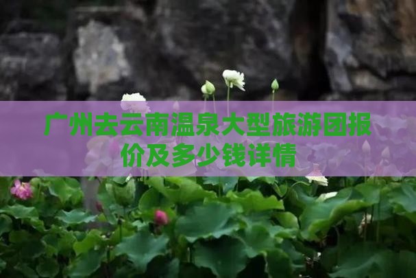 广州去云南温泉大型旅游团报价及多少钱详情