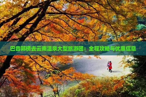 巴音郭楞去云南温泉大型旅游团：全程攻略与优惠信息