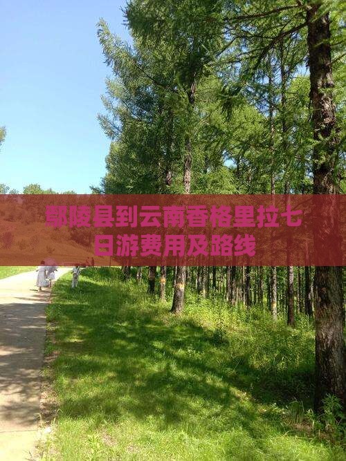 鄢陵县到云南香格里拉七日游费用及路线