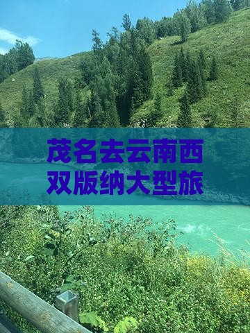 茂名去云南西双版纳大型旅游团价格是多少