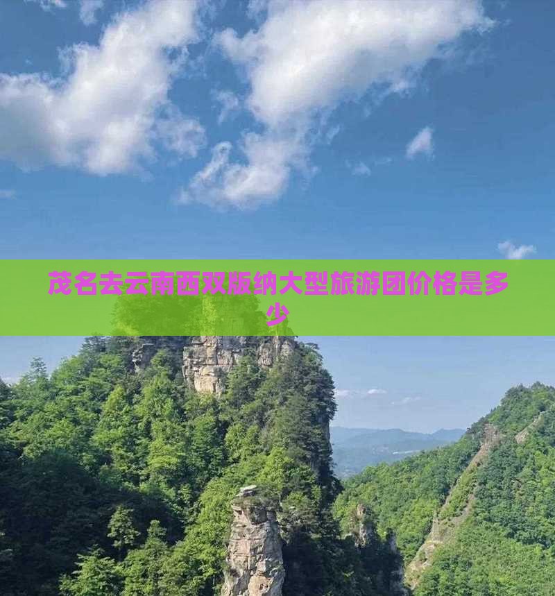 茂名去云南西双版纳大型旅游团价格是多少