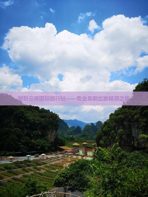 新到云南国际旅行社——专业阜新出发畅游之旅