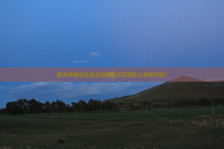 想去伊春出发去云南昆明三日游怎么安排行程？