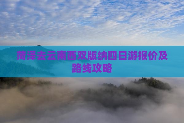 菏泽去云南西双版纳四日游报价及路线攻略