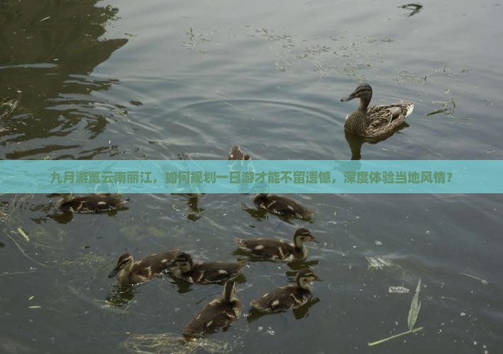 九月游览云南丽江，如何规划一日游才能不留遗憾，深度体验当地风情？