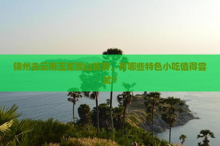 锦州去云南玉龙雪山旅游，有哪些特色小吃值得尝试？