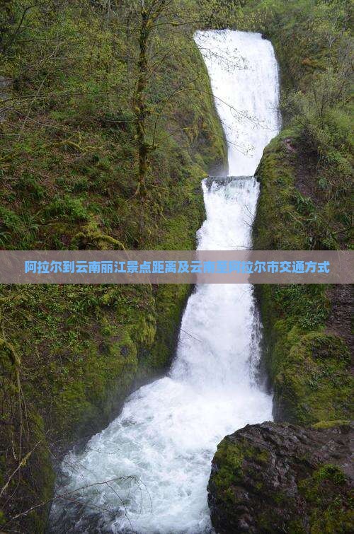 阿拉尔到云南丽江景点距离及云南至阿拉尔市交通方式