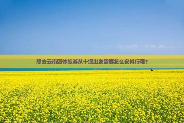 想去云南团体旅游从十堰出发需要怎么安排行程？