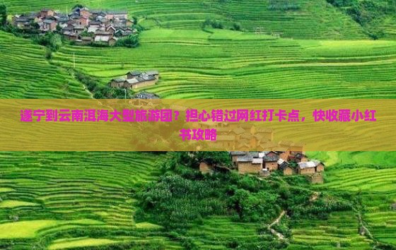 遂宁到云南洱海大型旅游团？担心错过网红打卡点，快收藏小红书攻略