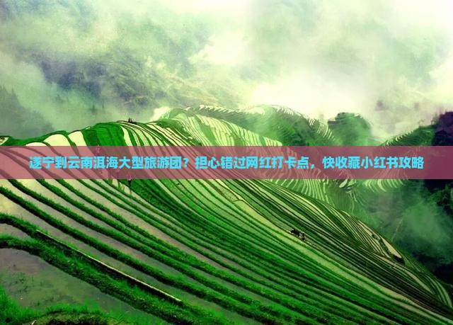 遂宁到云南洱海大型旅游团？担心错过网红打卡点，快收藏小红书攻略
