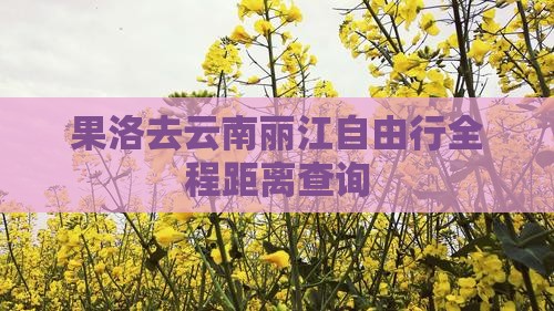 果洛去云南丽江自由行全程距离查询