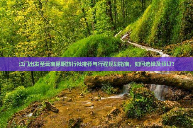 江门出发至云南昆明旅行社推荐与行程规划指南，如何选择及预订？