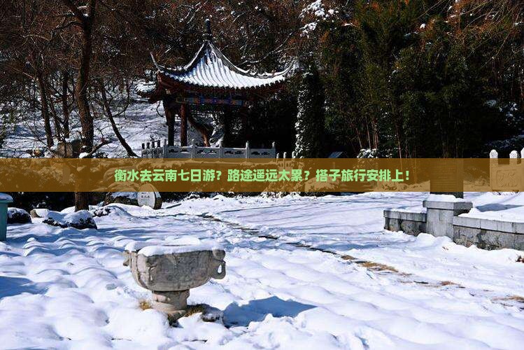 衡水去云南七日游？路途遥远太累？搭子旅行安排上！
