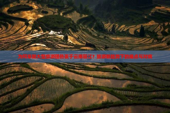 为何阜新大型旅游团热衷于云南丽江？旅游新趋势下的痛点与对病