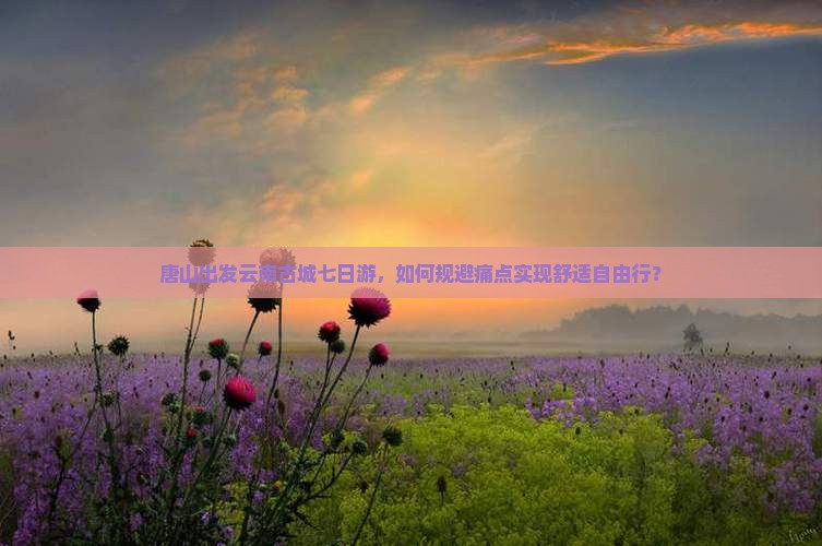 唐山出发云南古城七日游，如何规避痛点实现舒适自由行？