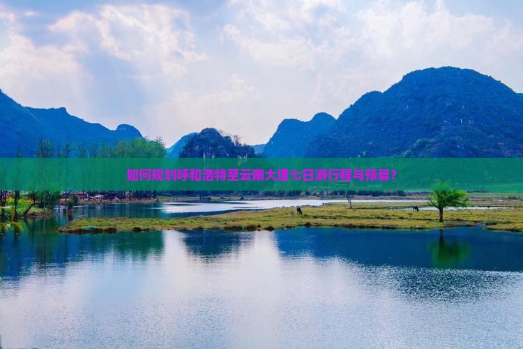 如何规划呼和浩特至云南大理七日游行程与预算？