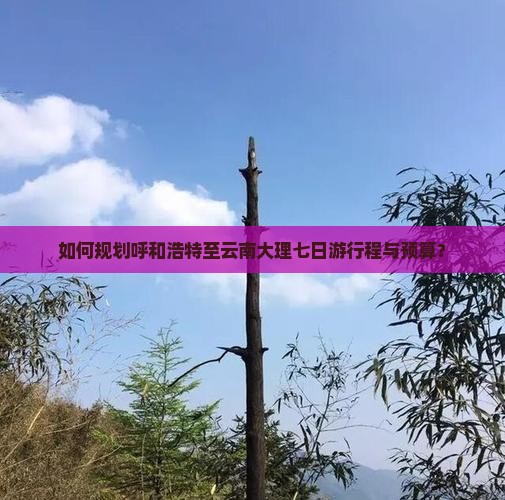 如何规划呼和浩特至云南大理七日游行程与预算？