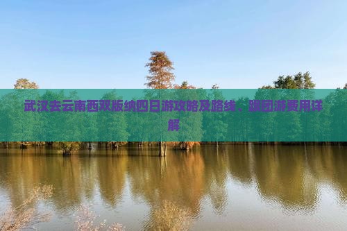 武汉去云南西双版纳四日游攻略及路线、跟团游费用详解
