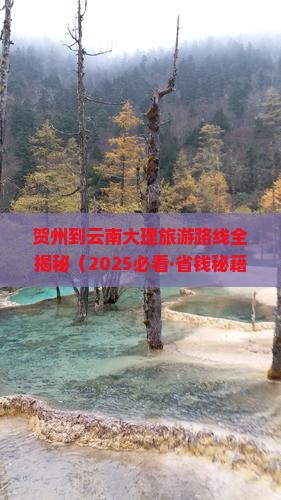 贺州到云南大理个人游