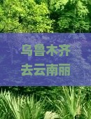 乌鲁木齐去云南丽江门票