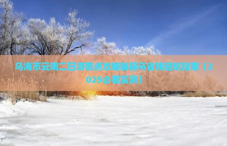 乌海市到云南古城二日游