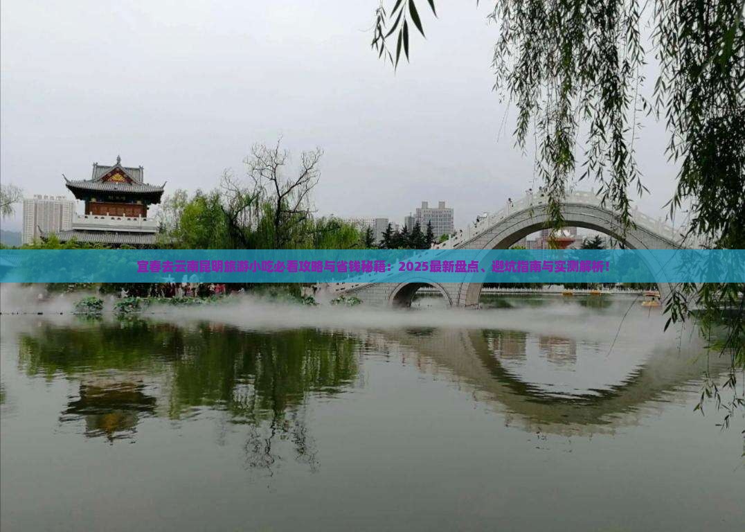 宜春去云南昆明旅游小吃