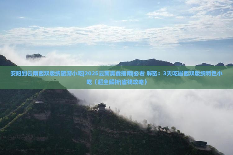 安阳到云南西双版纳旅游小吃