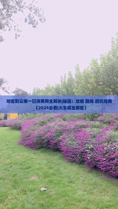 哈密到云南一日